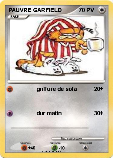Pokemon PAUVRE GARFIELD