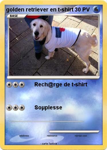 Pokemon golden retriever en t-shirt