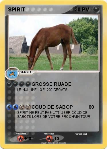 Pokemon SPIRIT
