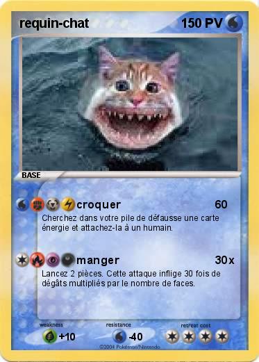 Pokemon requin-chat