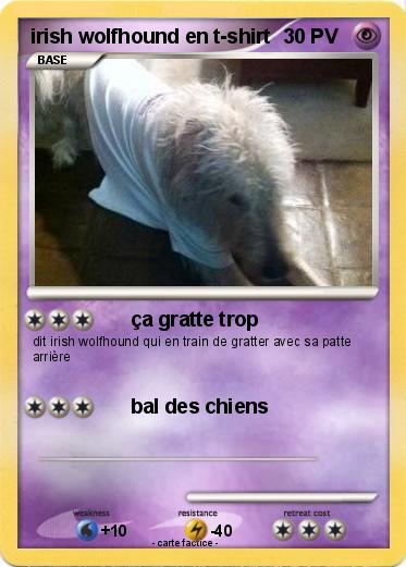 Pokemon irish wolfhound en t-shirt