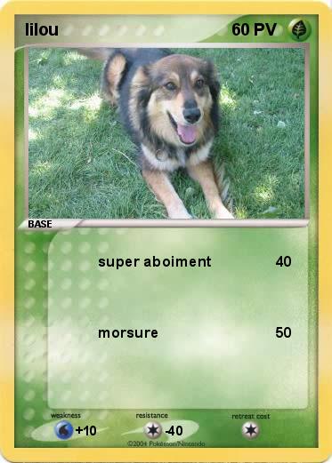 Pokemon lilou