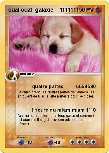 Pokemon ouaf ouaf  galaxie    111111