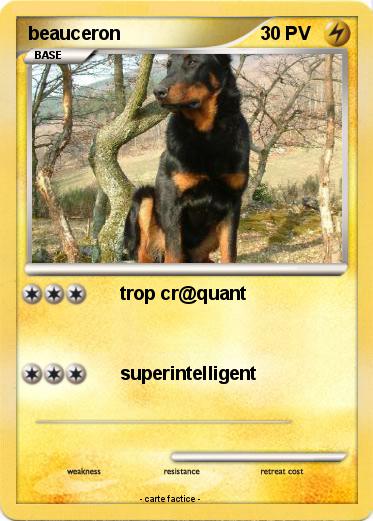 Pokemon beauceron
