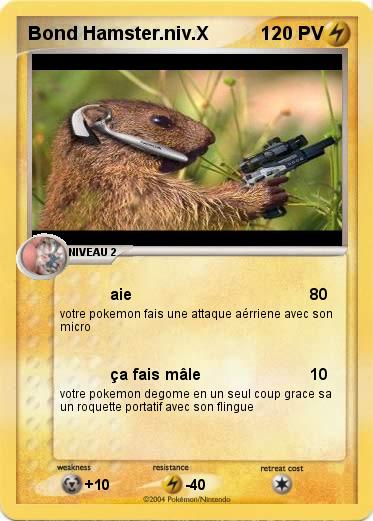 Pokemon Bond Hamster.niv.X