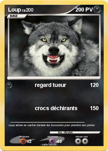 Pokemon Loup