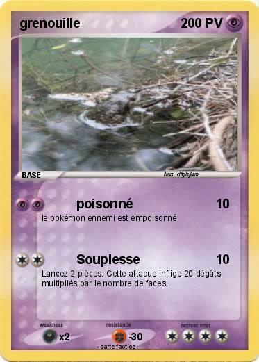 Pokemon grenouille