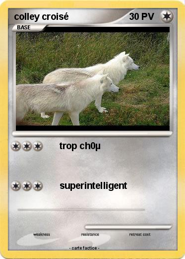 Pokemon colley croisé