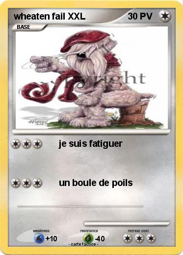Pokemon wheaten fail XXL
