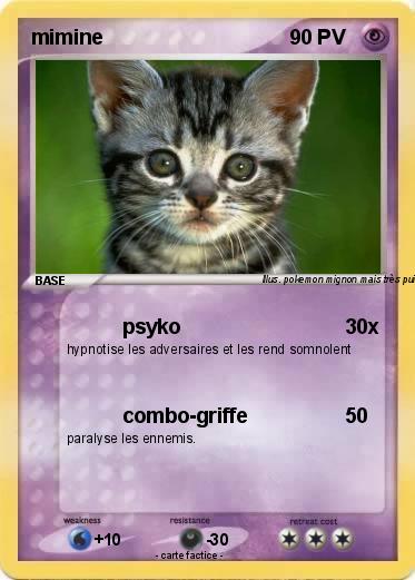 Pokemon mimine