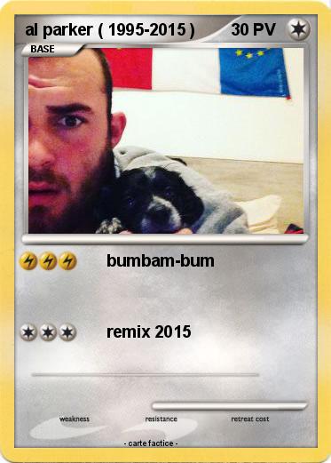 Pokemon al parker ( 1995-2015 )