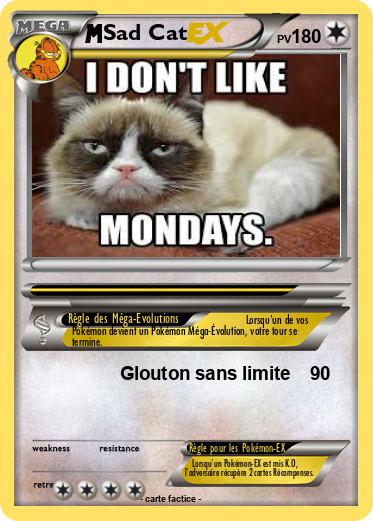 Pokemon Sad Cat