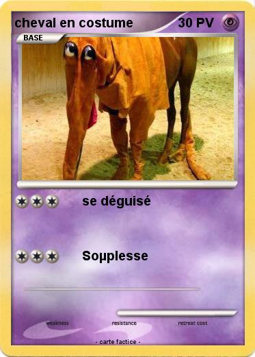 Pokemon cheval en costume