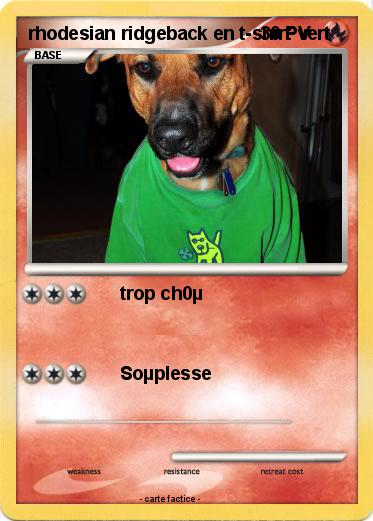 Pokemon rhodesian ridgeback en t-shirt vert