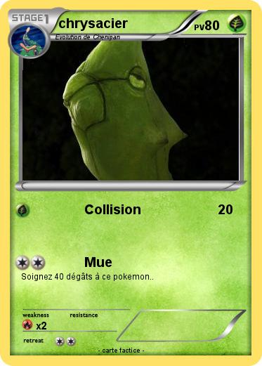 Pokemon chrysacier