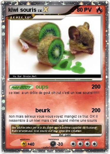 Pokemon kiwi souris