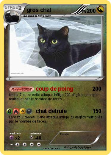 Pokemon gros chat