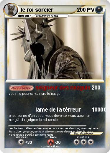 Pokemon le roi sorcier