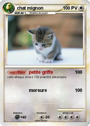 Pokemon chat mignon