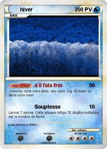 Pokemon hiver