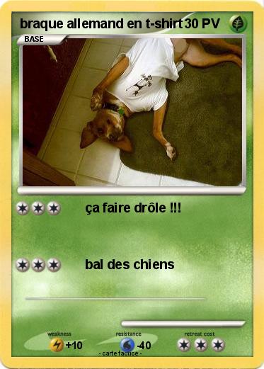 Pokemon braque allemand en t-shirt