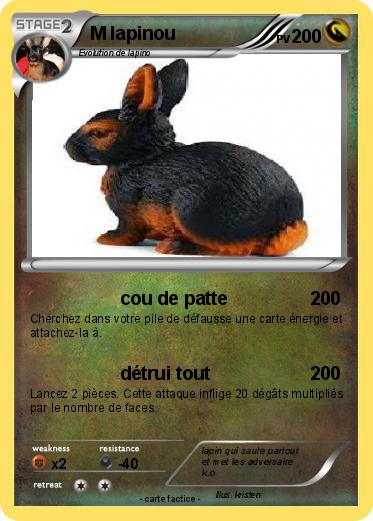 Pokemon M lapinou