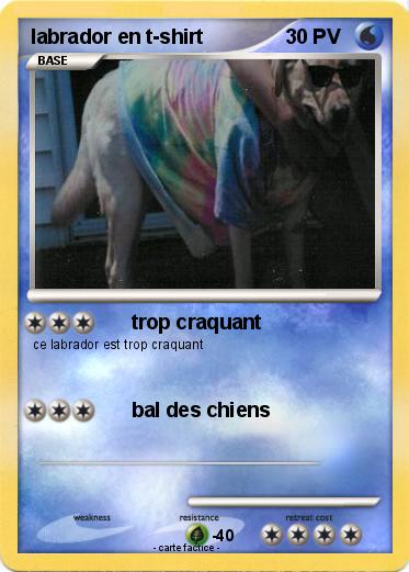 Pokemon labrador en t-shirt