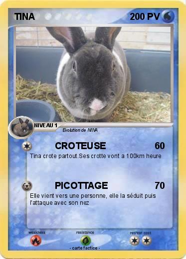 Pokemon TINA