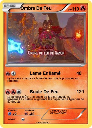 Pokemon Ombre De Feu