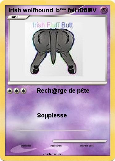 Pokemon irish wolfhound  b*** fail drôle