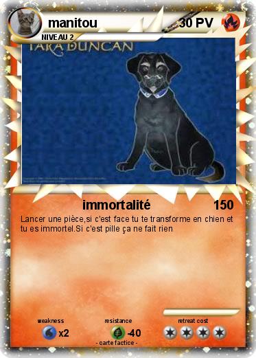 Pokemon manitou