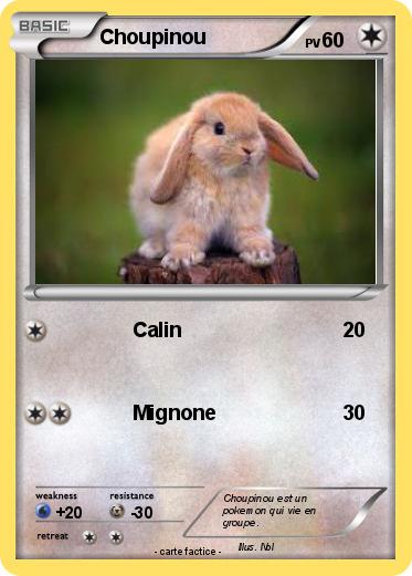 Pokemon Choupinou