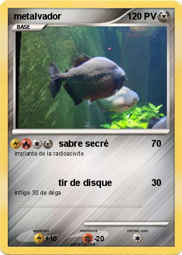 Pokemon metalvador