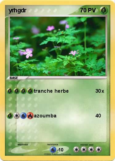 Pokemon yrhgdr