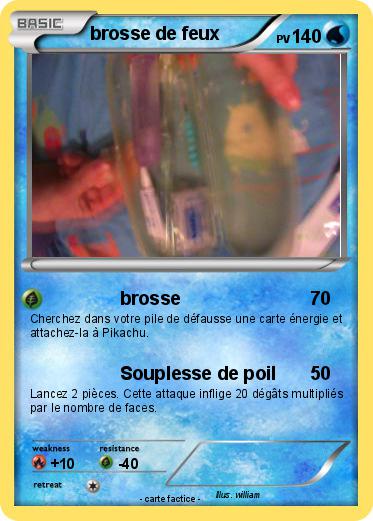 Pokemon brosse de feux
