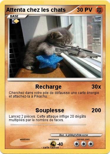 Pokemon Attenta chez les chats