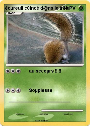 Pokemon écureuil c0incé d@ns le trou