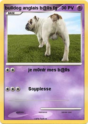 Pokemon bulldog anglais b@lls fg
