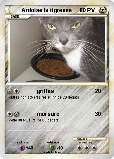 Pokemon Ardoise la tigresse