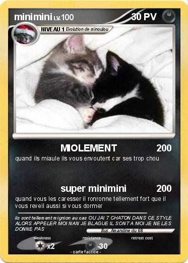Pokemon minimini