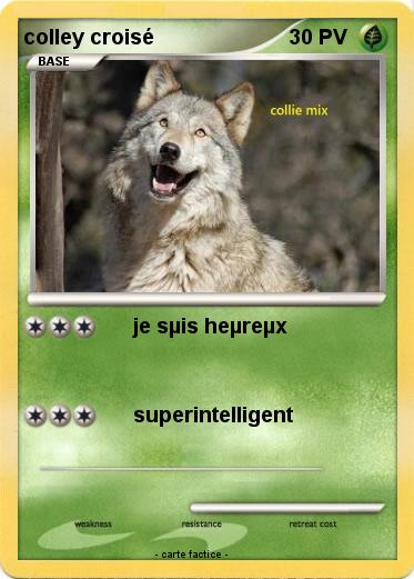 Pokemon colley croisé