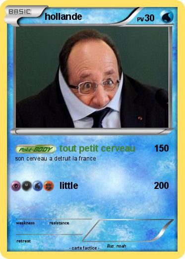 Pokemon hollande