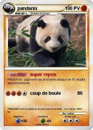 Pokemon pandanix