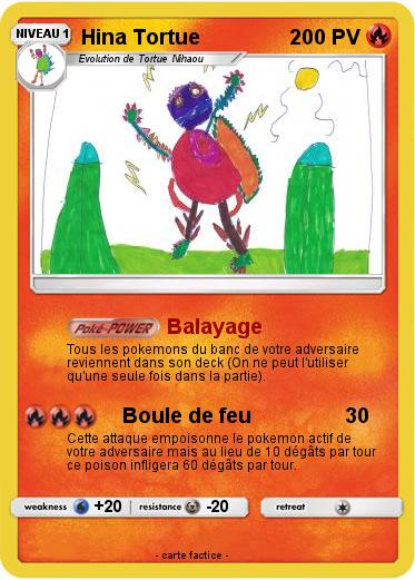 Pokemon Hina Tortue