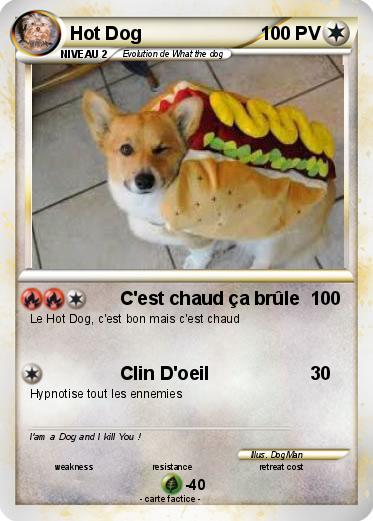 Pokemon Hot Dog