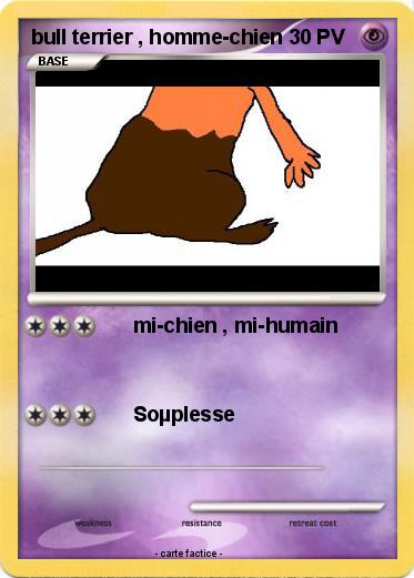 Pokemon bull terrier , homme-chien