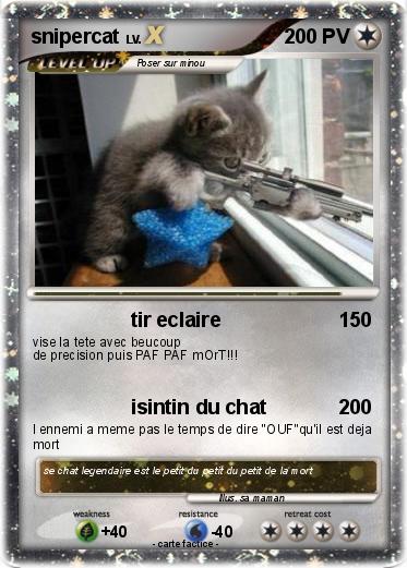 Pokemon snipercat