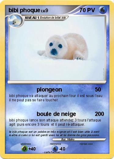 Pokemon bibi phoque