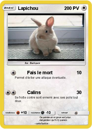 Pokemon Lapichou