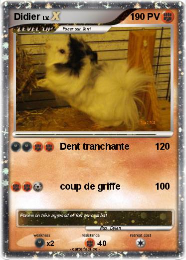 Pokemon Didier